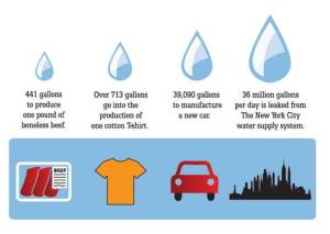 While one pound of boneless beef requires 441 gallons of water to produce, a cotton t-shirt requires 713 gallons, a new car requires 39,090 gallons and 36 gallons of water is leaked from the New York City water supply system every day!