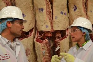 A food safety expert discusses beef safety and quality in a processing plant